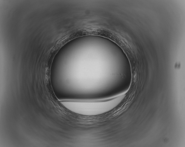 X0000095881156200801110758