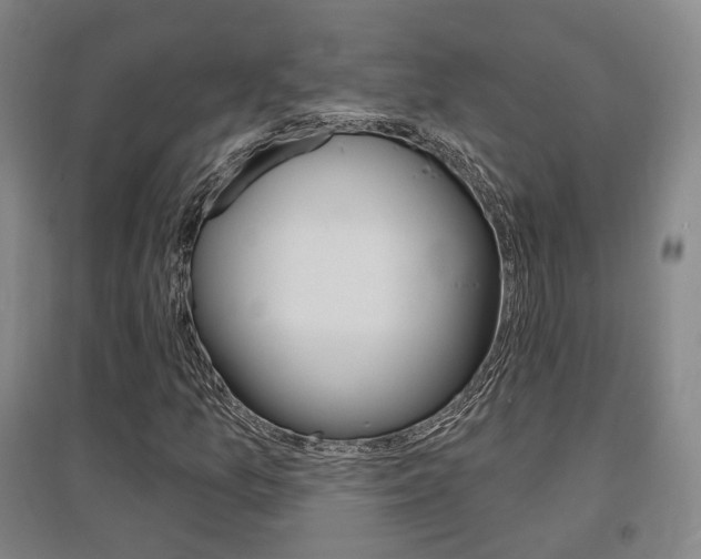 X0000095881157200801110758