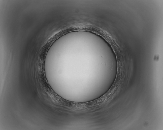 X0000095881158200801110758