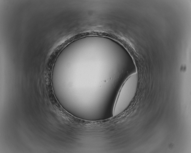 X0000095881159200801110758