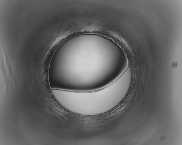 X0000095881160200801110757