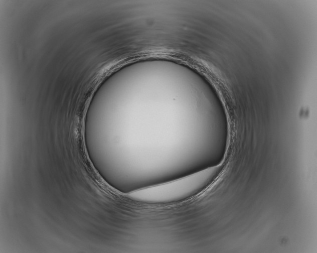X0000095881161200801110757