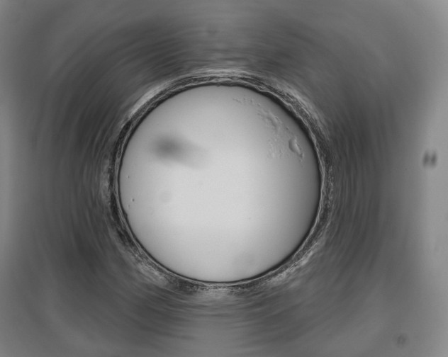 X0000095881162200801110757