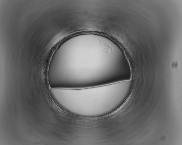 X0000095881163200801110757