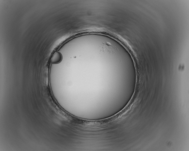 X0000095881171200801110757