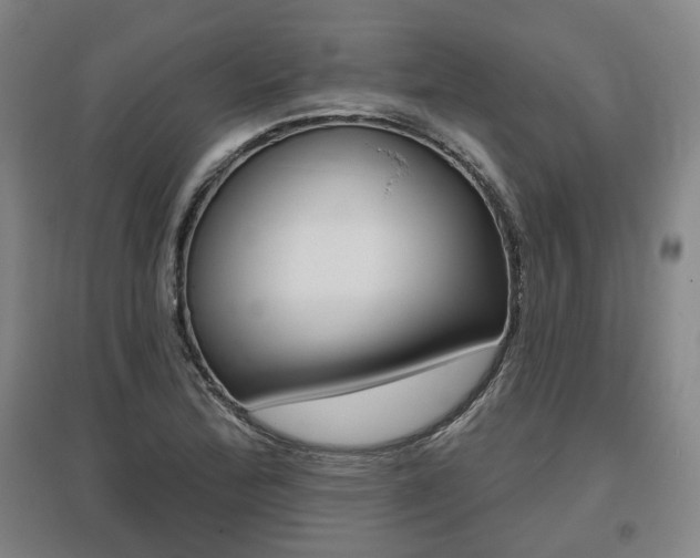 X0000095881172200801110757