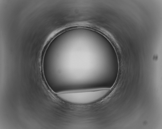 X0000095881176200801110757