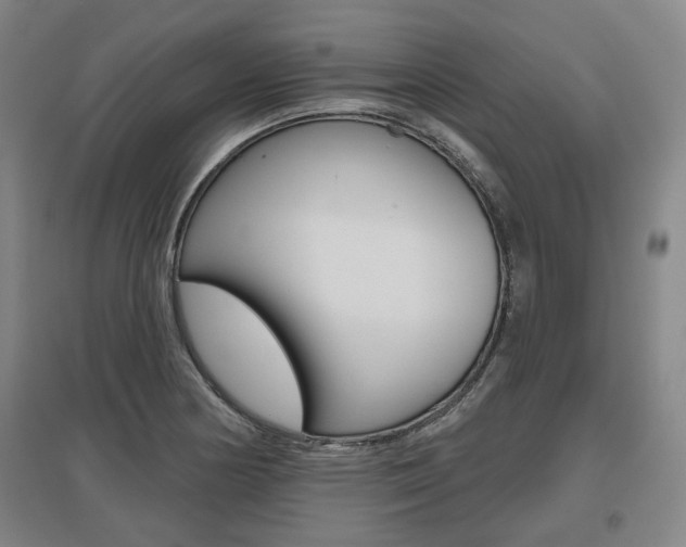 X0000095881178200801110757
