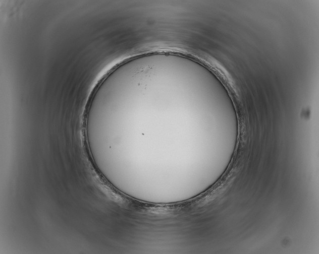 X0000095881182200801110757