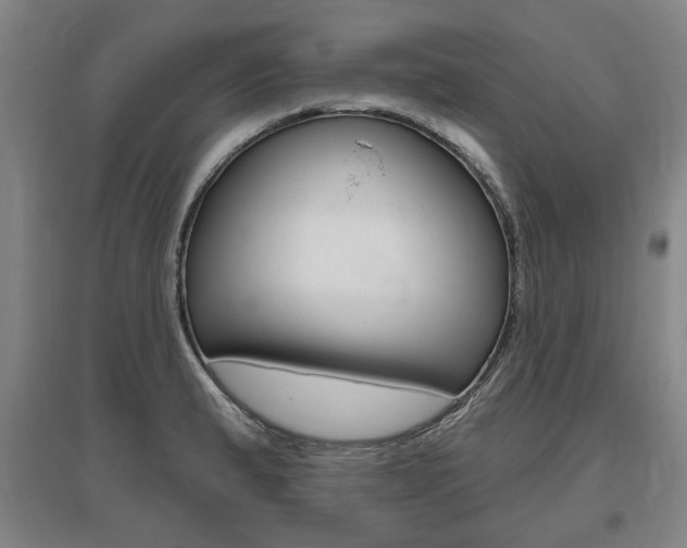 X0000095881183200801110757