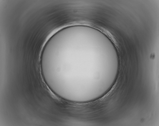 X0000095881184200801110757