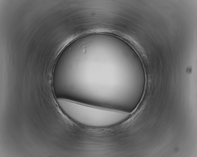 X0000095881185200801110757