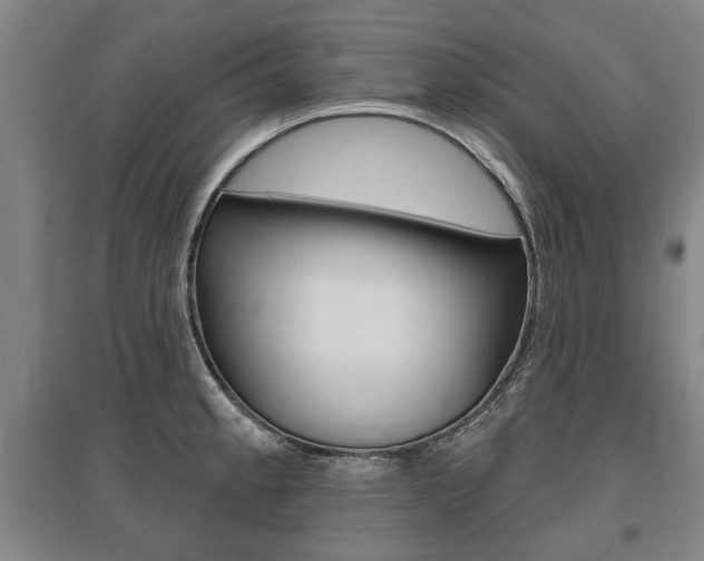 X0000095881189200801110757