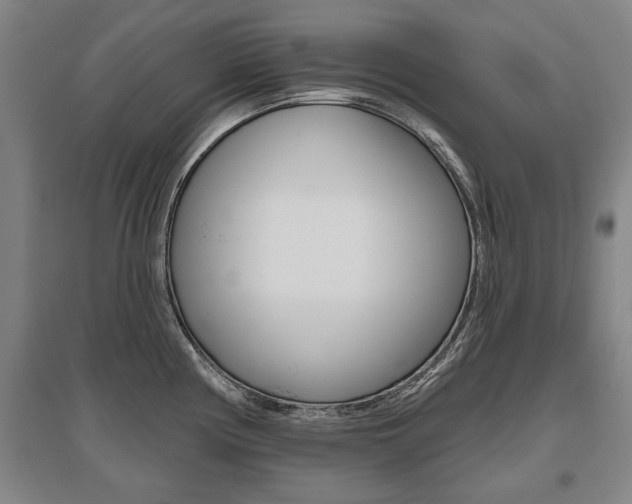 X0000095881194200801110757