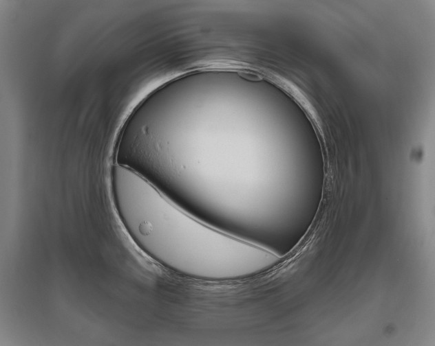 X0000095881195200801110757