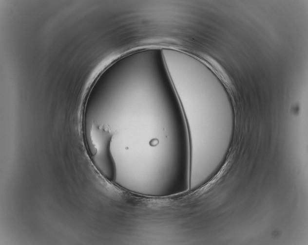 X0000095881196200801110757