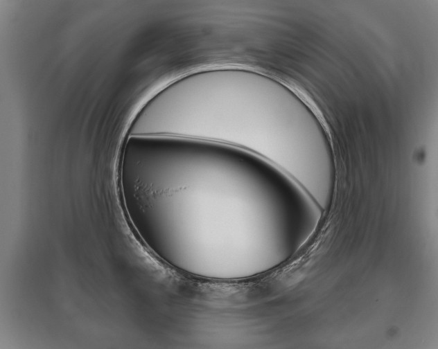 X0000095881197200801110757