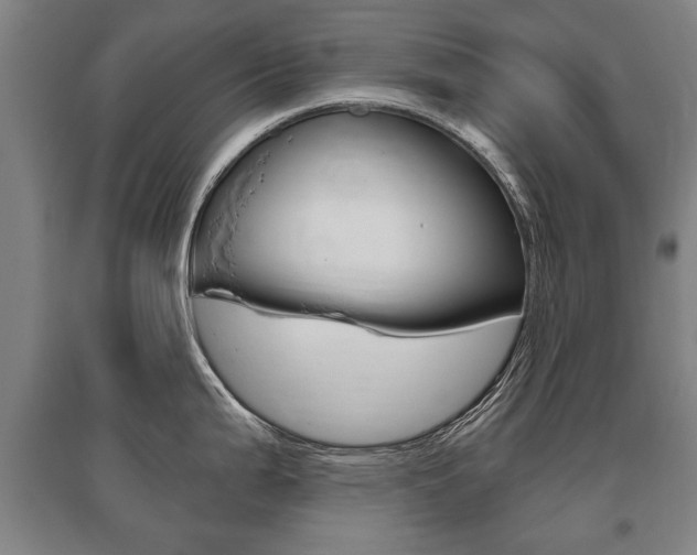X0000095881199200801110757