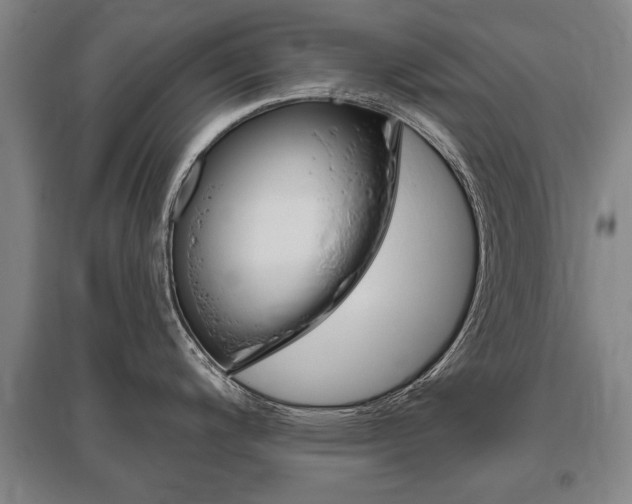 X0000095881200200801110757
