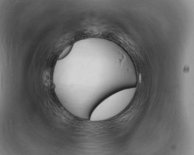X0000095881203200801110756