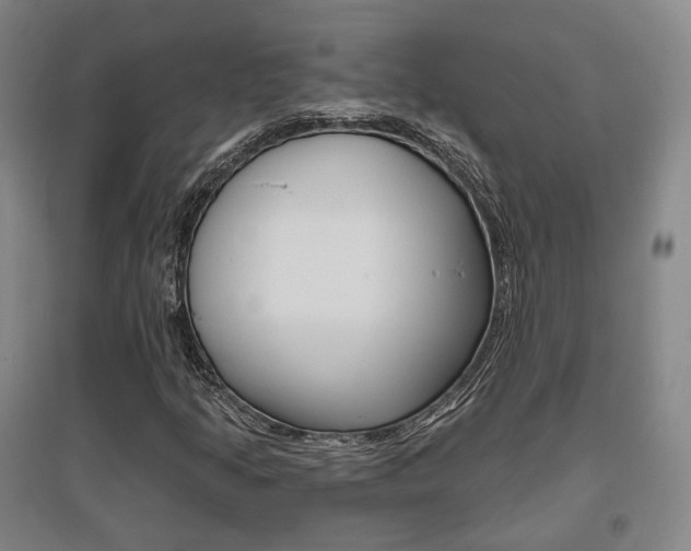 X0000095881205200801110756