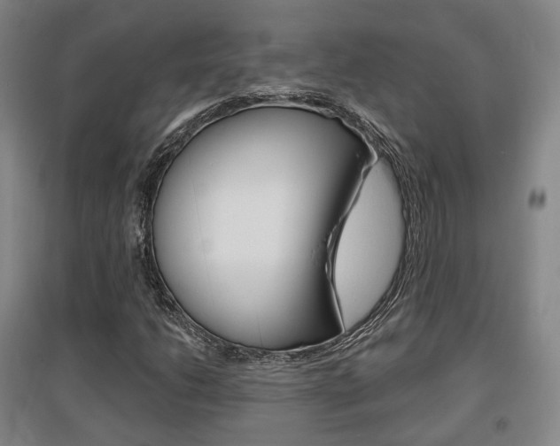 X0000095881206200801110756