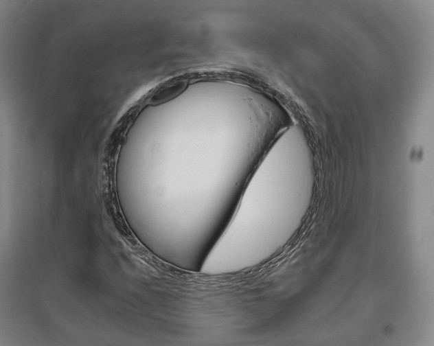 X0000095881208200801110756