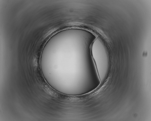 X0000095881209200801110756
