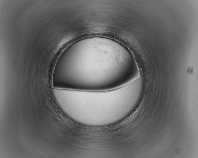 X0000095881210200801110756