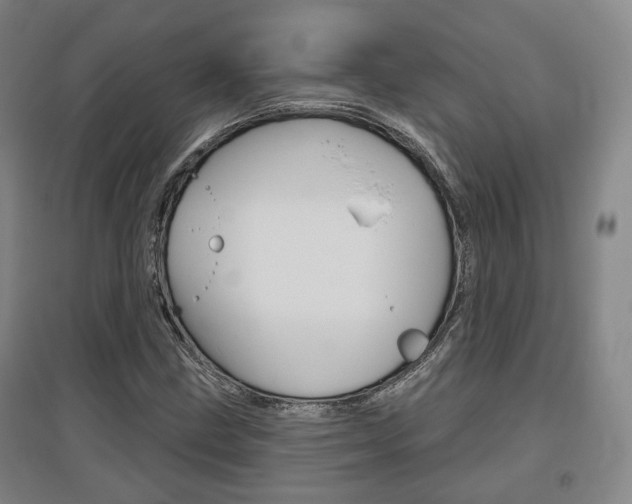 X0000095881211200801110756