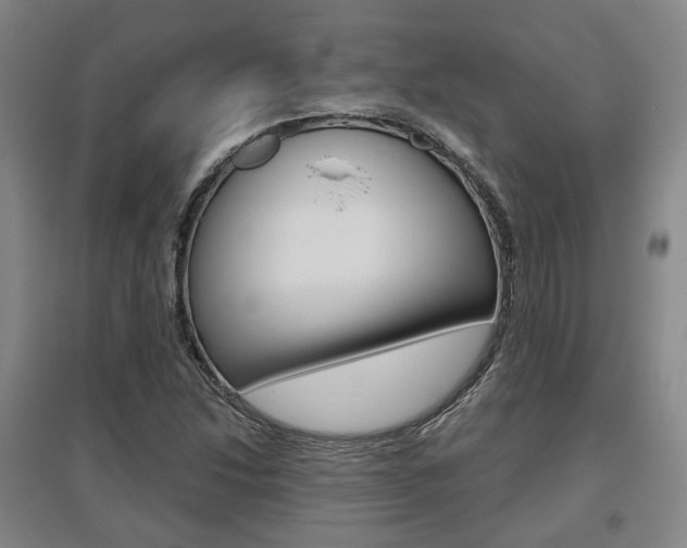X0000095881214200801110756