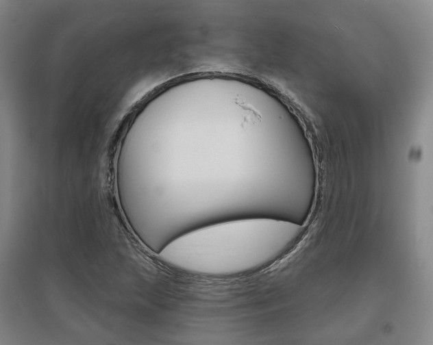 X0000095881215200801110756