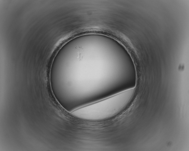 X0000095881218200801110756