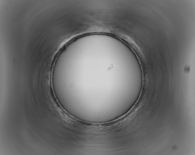 X0000095881220200801110756