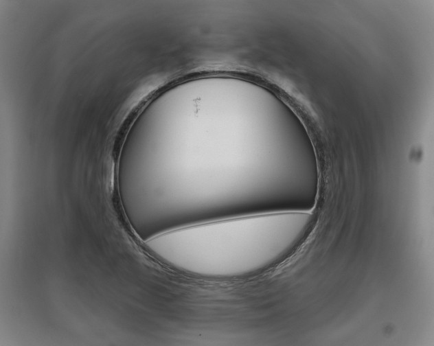 X0000095881221200801110756
