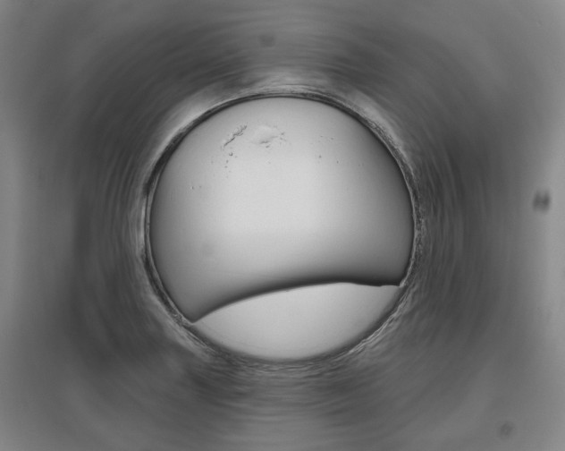 X0000095881227200801110756