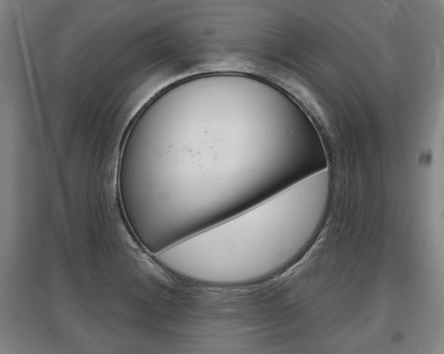 X0000095881228200801110756