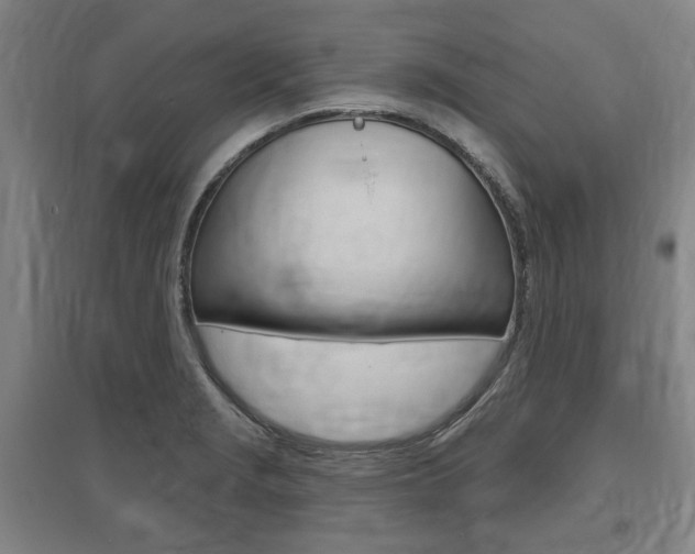 X0000095881229200801110756