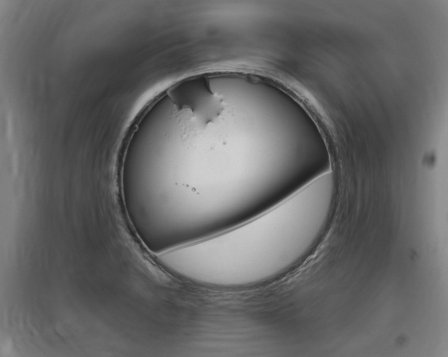 X0000095881230200801110757