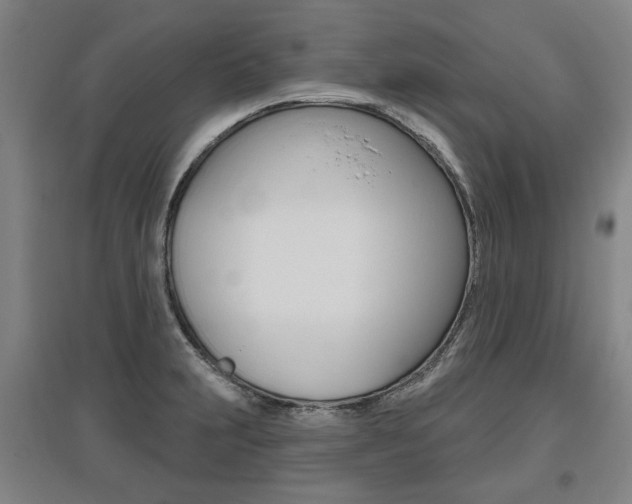 X0000095881231200801110757