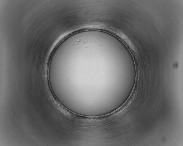 X0000095881232200801110757