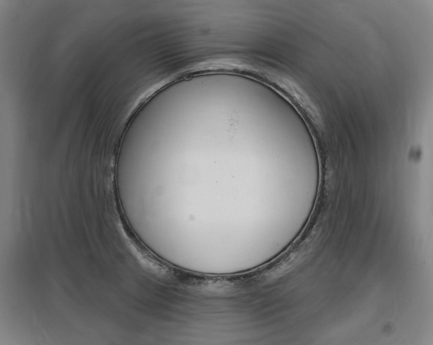 X0000095881233200801110757
