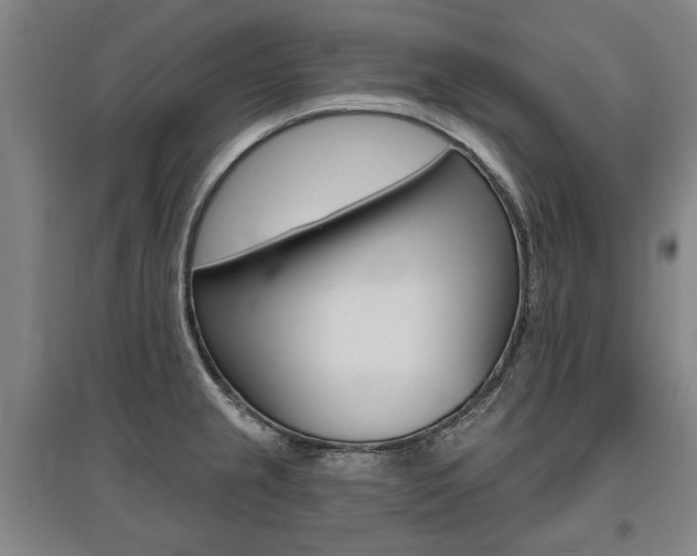 X0000095881237200801110757