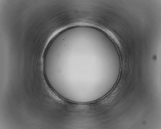 X0000095881238200801110757