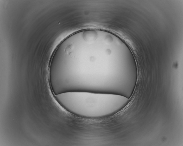 X0000095881239200801110757