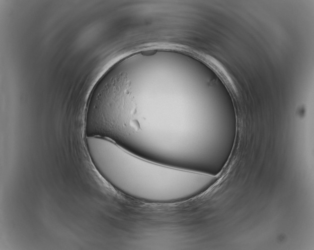 X0000095881244200801110757