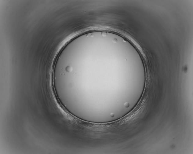 X0000095881245200801110757