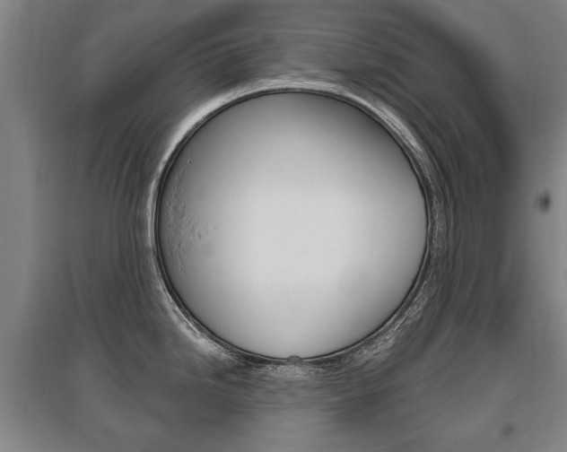 X0000095881246200801110757