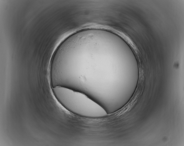 X0000095881247200801110757