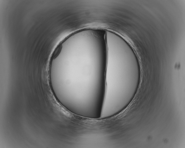 X0000095881248200801110757